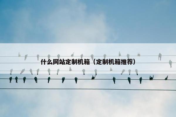 什么网站定制机箱（定制机箱推荐）