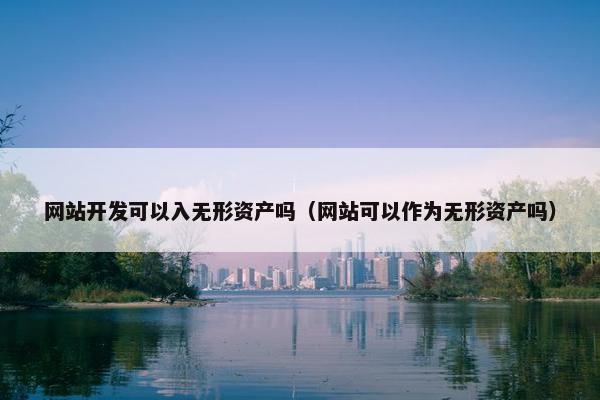 网站开发可以入无形资产吗（网站可以作为无形资产吗）