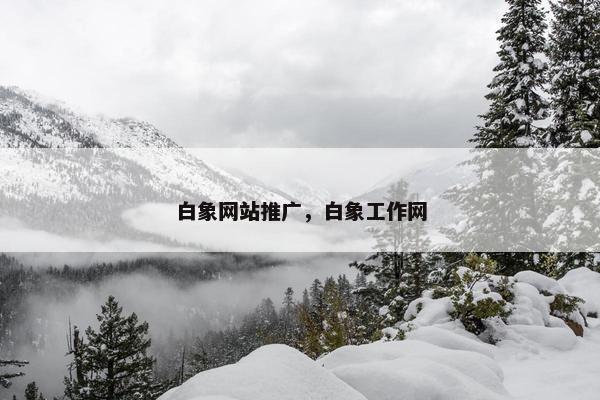 白象网站推广，白象工作网