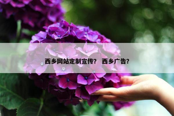 西乡网站定制宣传？ 西乡广告？