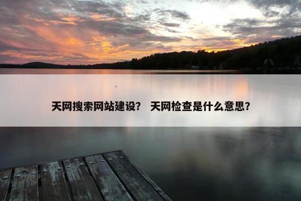 天网搜索网站建设？ 天网检查是什么意思？