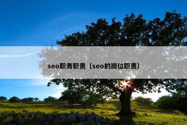 seo职务职责（seo的岗位职责）