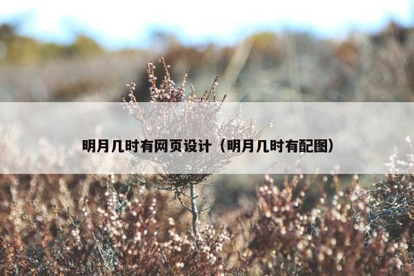 明月几时有网页设计（明月几时有配图）