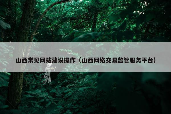 山西常见网站建设操作（山西网络交易监管服务平台）