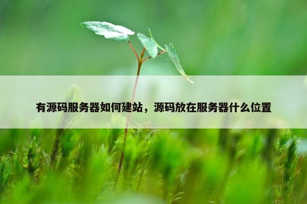 有源码服务器如何建站，源码放在服务器什么位置