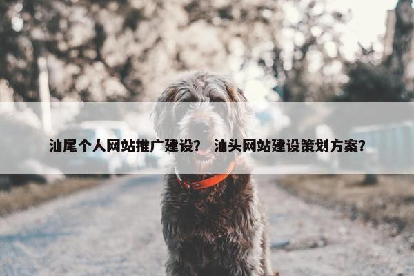 汕尾个人网站推广建设？ 汕头网站建设策划方案？