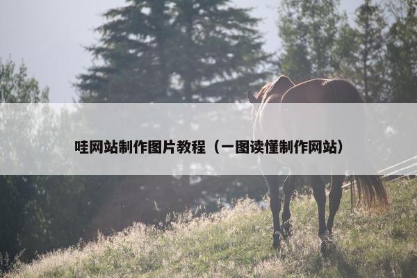 哇网站制作图片教程（一图读懂制作网站）