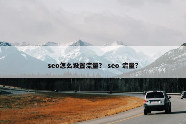 seo怎么设置流量？ seo 流量？