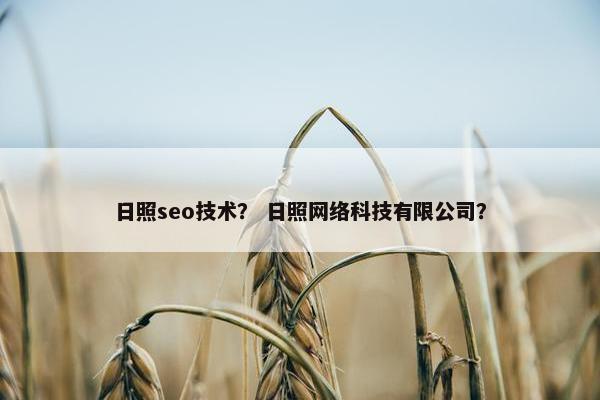 日照seo技术？ 日照网络科技有限公司？