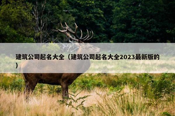 建筑公司起名大全（建筑公司起名大全2023最新版的）