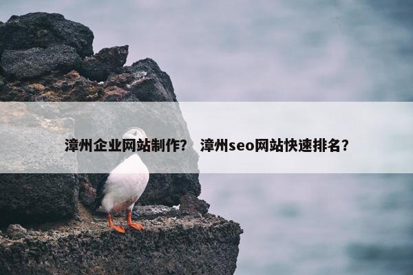 漳州企业网站制作？ 漳州seo网站快速排名？