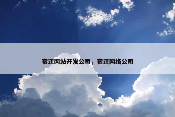 宿迁网站开发公司，宿迁网络公司