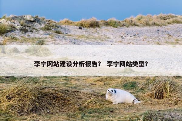 李宁网站建设分析报告？ 李宁网站类型？