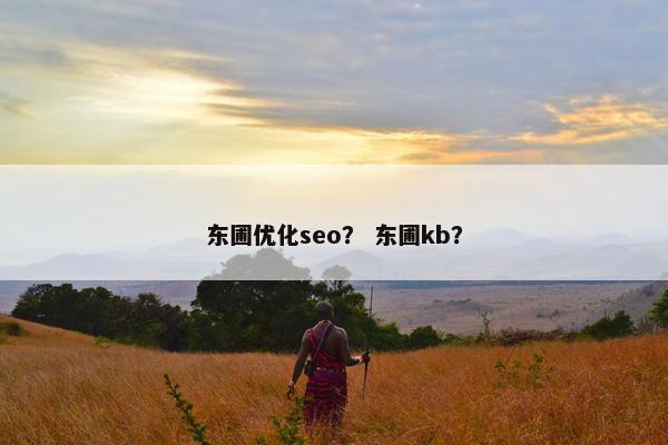 东圃优化seo？ 东圃kb？