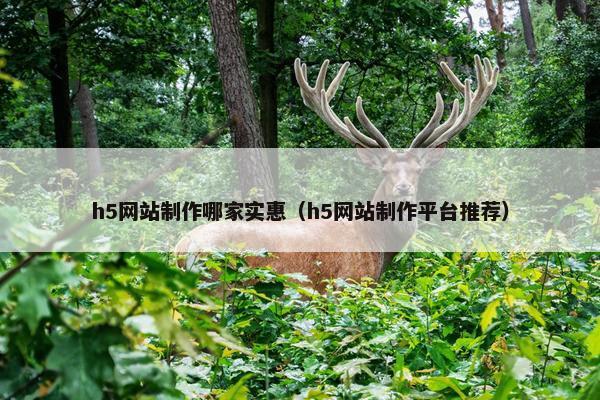 h5网站制作哪家实惠（h5网站制作平台推荐）