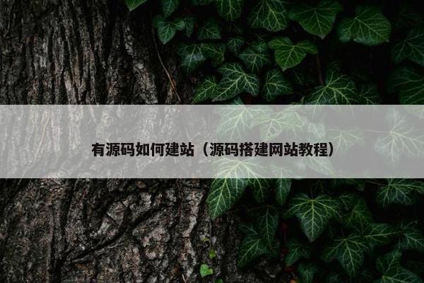有源码如何建站（源码搭建网站教程）