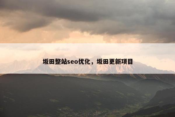 坂田整站seo优化，坂田更新项目