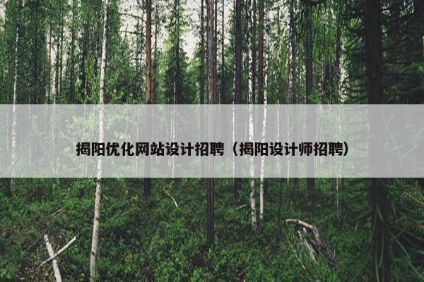 揭阳优化网站设计招聘（揭阳设计师招聘）