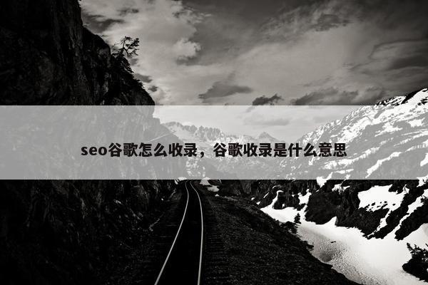 seo谷歌怎么收录，谷歌收录是什么意思