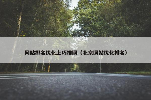 网站排名优化上巧推网（北京网站优化排名）