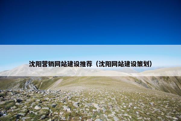 沈阳营销网站建设推荐（沈阳网站建设策划）
