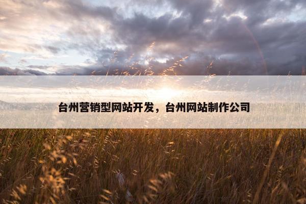 台州营销型网站开发，台州网站制作公司