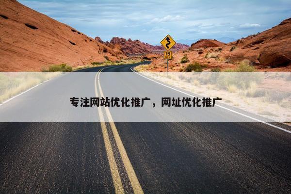 专注网站优化推广，网址优化推广