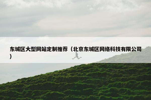 东城区大型网站定制推荐（北京东城区网络科技有限公司）