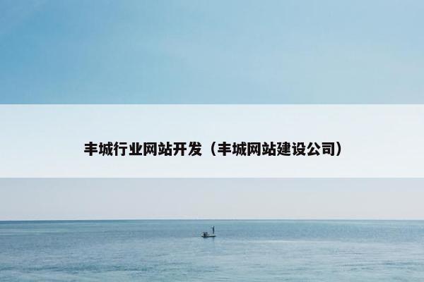 丰城行业网站开发（丰城网站建设公司）