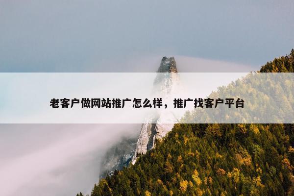 老客户做网站推广怎么样，推广找客户平台