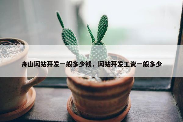 舟山网站开发一般多少钱，网站开发工资一般多少