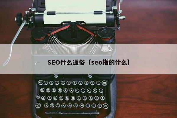 SEO什么通俗（seo指的什么）