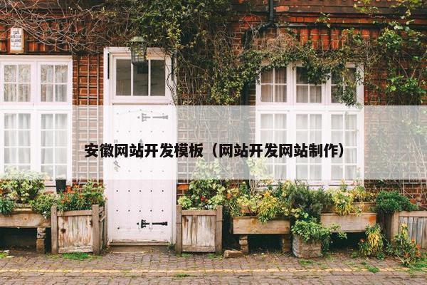 安徽网站开发模板（网站开发网站制作）