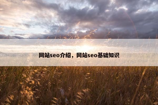 网站seo介绍，网站seo基础知识
