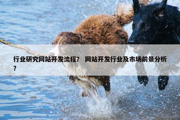 行业研究网站开发流程？ 网站开发行业及市场前景分析？