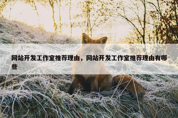 网站开发工作室推荐理由，网站开发工作室推荐理由有哪些