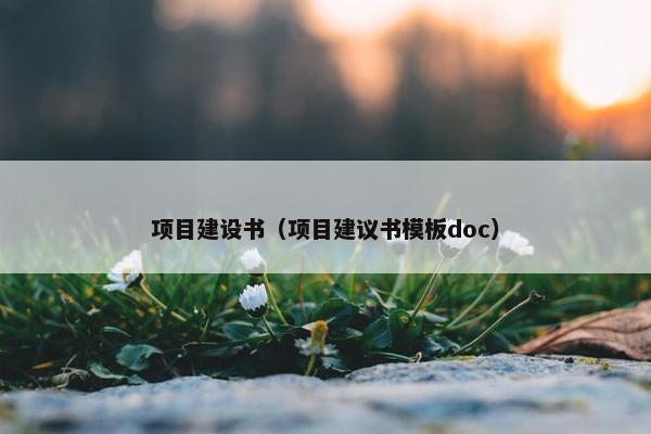 项目建设书（项目建议书模板doc）