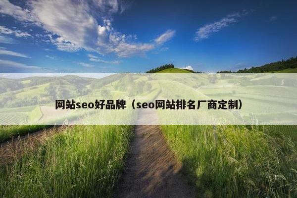 网站seo好品牌（seo网站排名厂商定制）