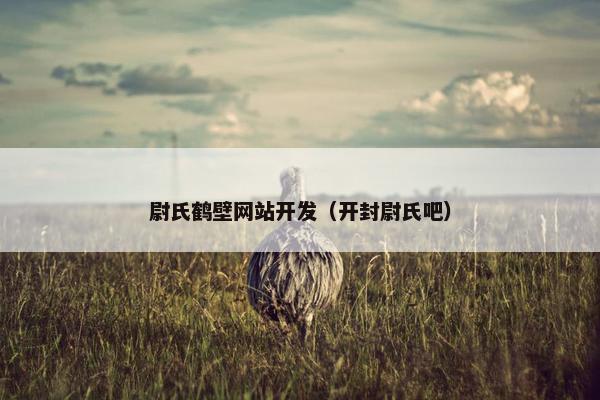 尉氏鹤壁网站开发（开封尉氏吧）