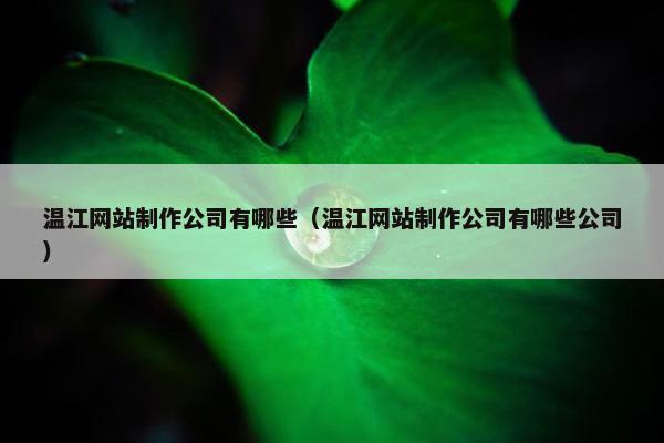温江网站制作公司有哪些（温江网站制作公司有哪些公司）