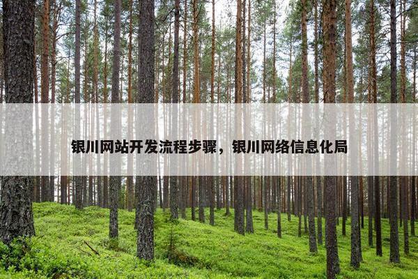银川网站开发流程步骤，银川网络信息化局