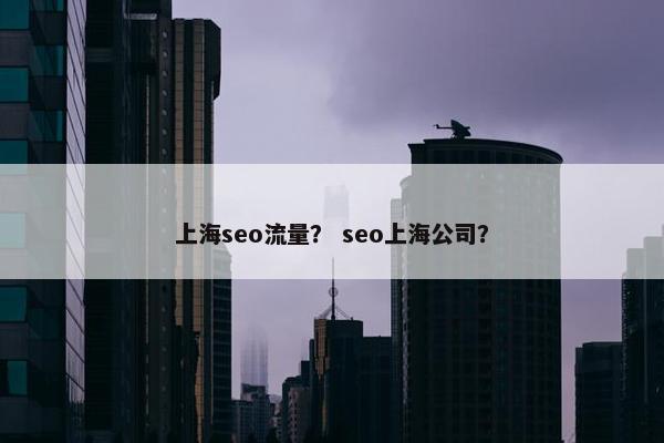 上海seo流量？ seo上海公司？