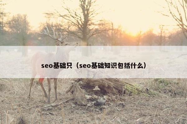 seo基础只（seo基础知识包括什么）