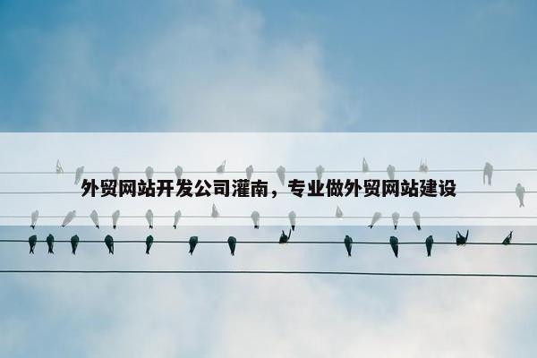 外贸网站开发公司灌南，专业做外贸网站建设