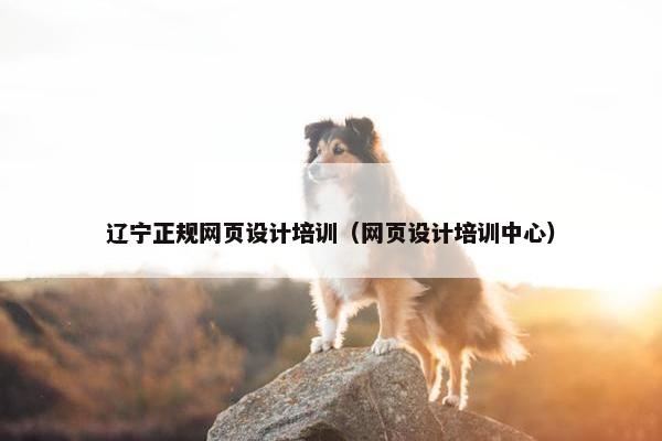 辽宁正规网页设计培训（网页设计培训中心）