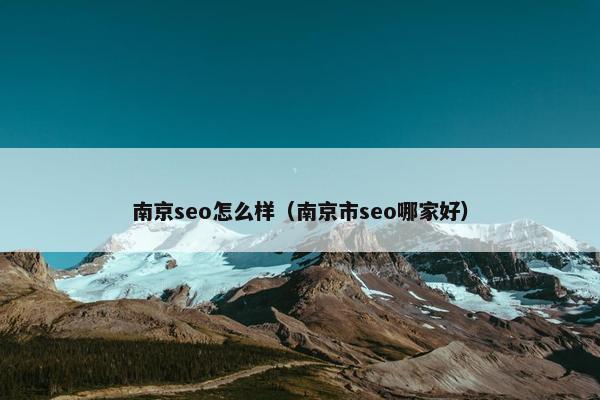 南京seo怎么样（南京市seo哪家好）