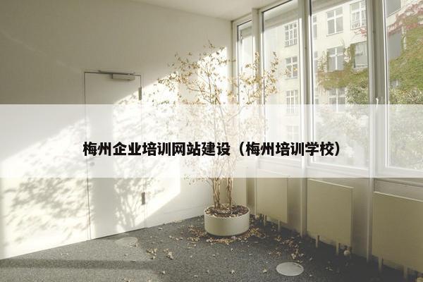 梅州企业培训网站建设（梅州培训学校）