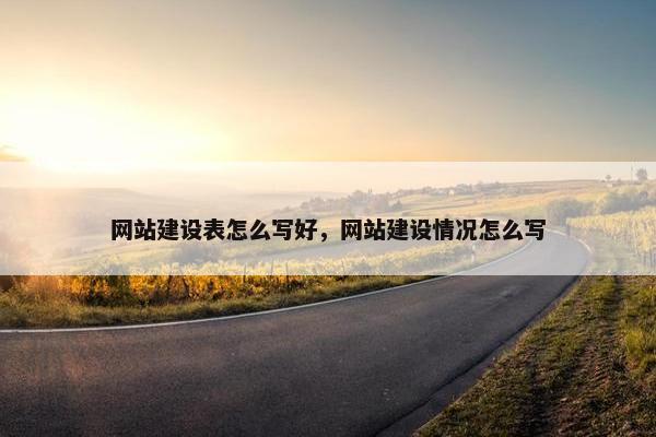 网站建设表怎么写好，网站建设情况怎么写