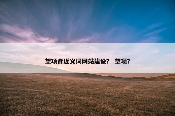 望项背近义词网站建设？ 望项？
