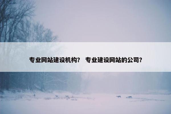 专业网站建设机构？ 专业建设网站的公司？